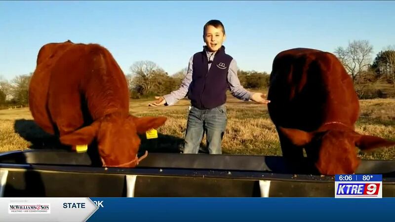 la entrada ‘These Are My Cows’ gana