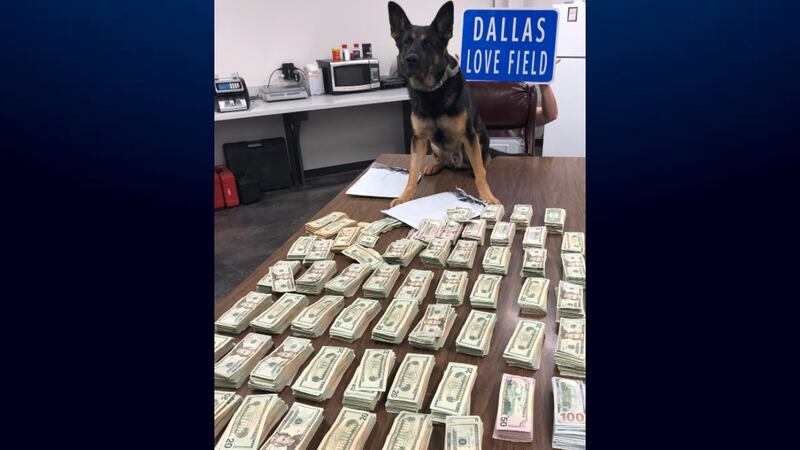 El K-9 Ballentine olfateó más de $ 100K dentro de la bolsa de lona de un pasajero.