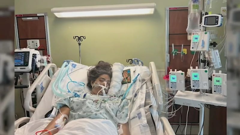 Las autoridades dicen que un rayo alcanzó directamente a la mujer o a un árbol cercano, lo que...