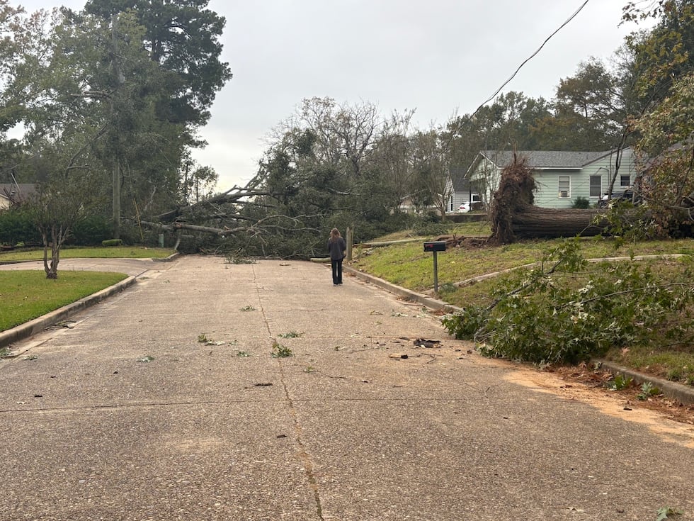 Strong winds knock trees down on Monroe and Simmons in Kilgore