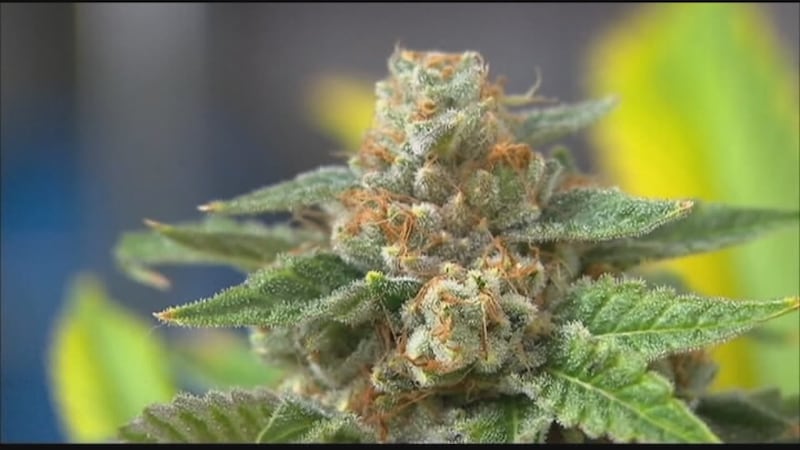 Voters in a number of states decided during the 2020 General Election whether to legalize...