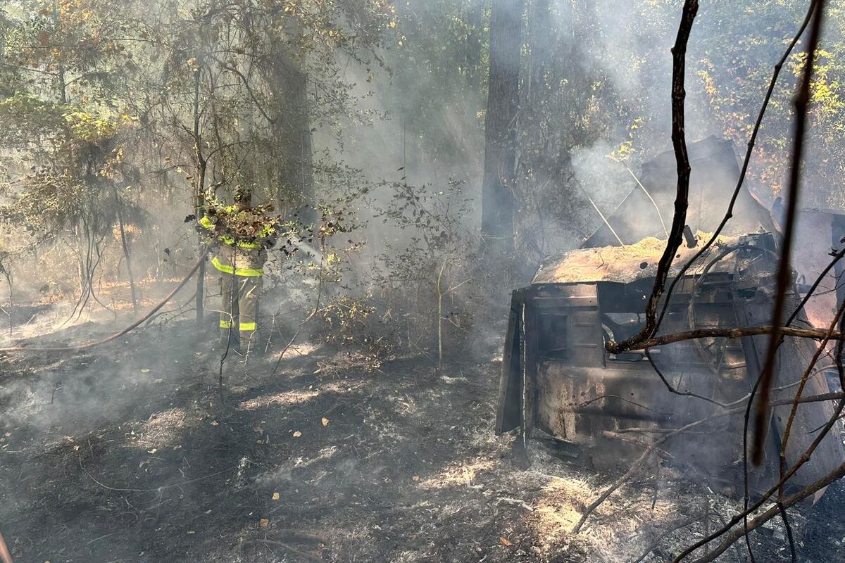 preloaded gallery image