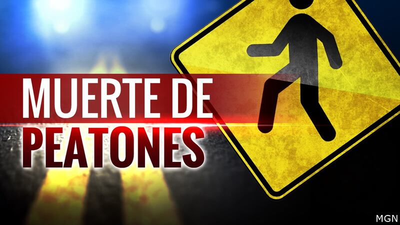 Un niño de 16 años murió después de ser golpeado por una camioneta en FM 2574 en el condado de...