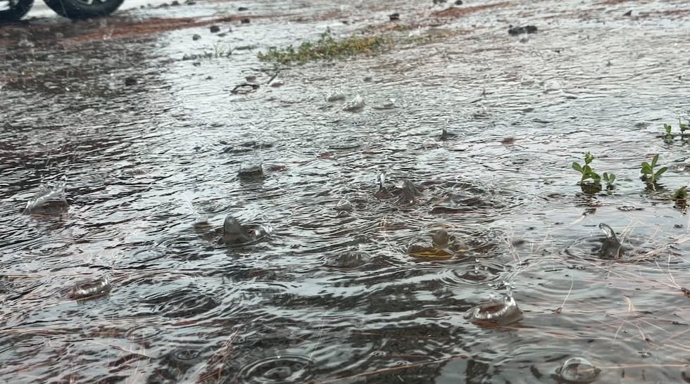 Tropical Storm Edouard brings heavy rain, high winds to Deep East Texas