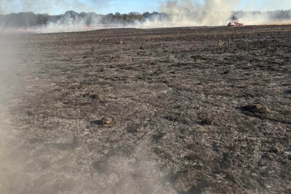 preloaded gallery image