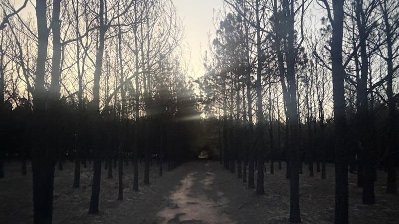 A fire in Henderson County grew to 54 acres before being fully contained, according to Payne...