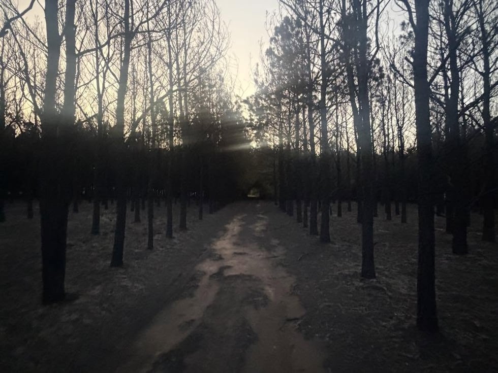 A fire in Henderson County grew to 54 acres before being fully contained, according to Payne...