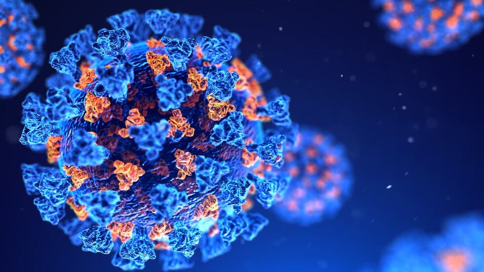 En los últimos siete días en el condado de lubbock, se han sumado 500 casos más de Covid-19 a...