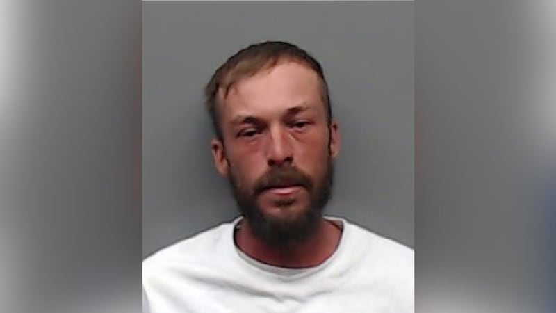 Levy Aaron Lee pleaded guilty Monday after he was accused of tricking a 71-year-old woman into...