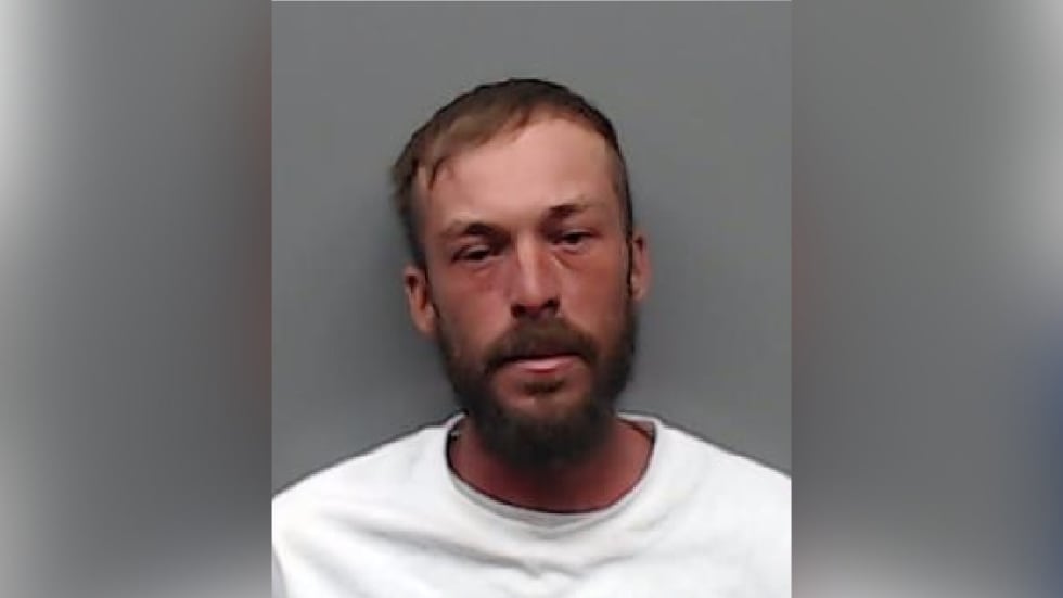 Levy Aaron Lee pleaded guilty Monday after he was accused of tricking a 71-year-old woman into...