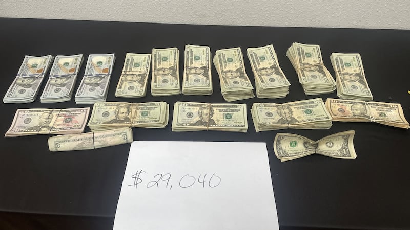 The Panola County Sheriff's Office seized $29,000 in cash during a traffic stop.