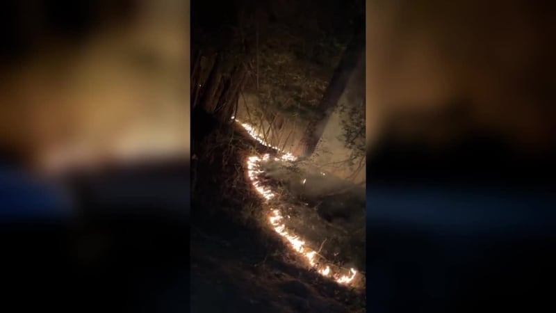 A forest fire that began in Angelina National Forest Tuesday has grown to 1,143 acres...