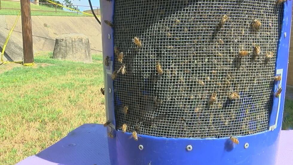 (Crédito: Personal de noticias KLTV)