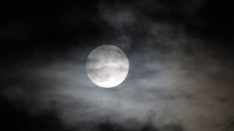 La luna de fresa comenzó a aparecer el Domingo por la noche y alcanzará su máximo brillo el...