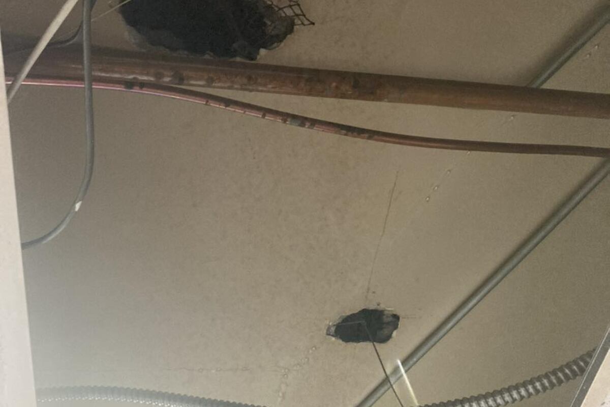 preloaded gallery image