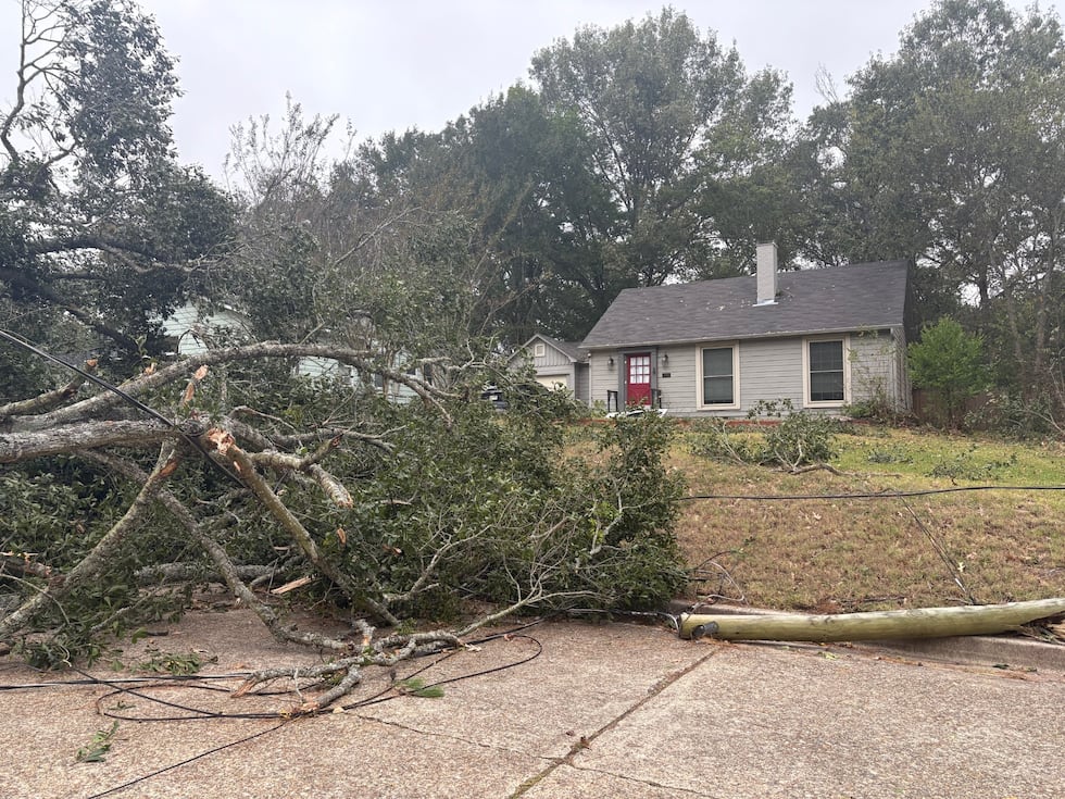 Strong winds knock trees down on Monroe and Simmons in Kilgore