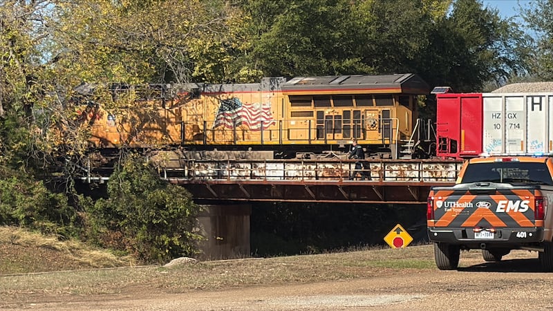 1 persona hospitalizada tras ser atropellada por un tren en Tyler.