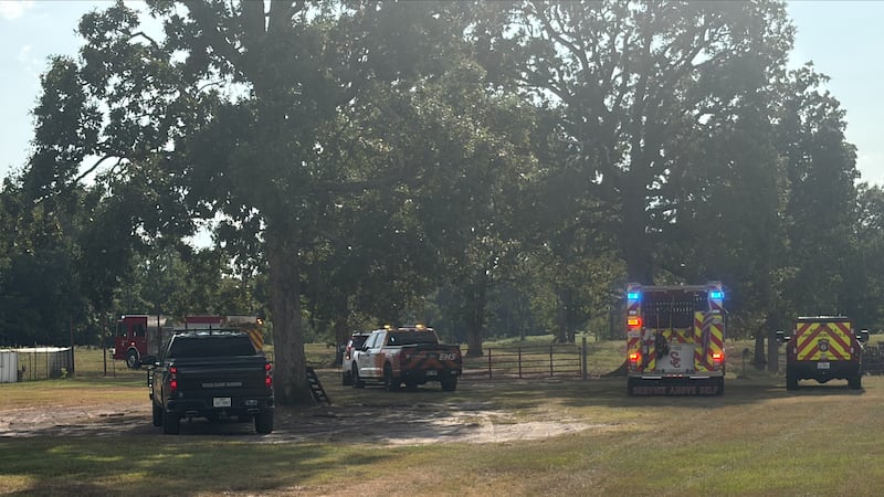 Plane Crash in Arp