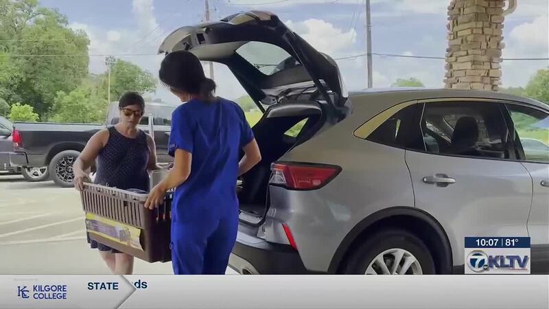 Clínica veterinaria de Lindale reúne donaciones tras inundaciones en el centro de Texas