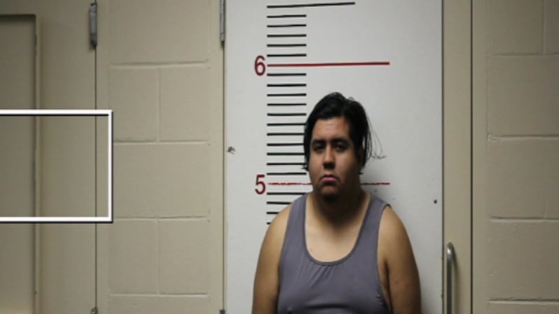 Acusan a hombre hispano de Palestine de actividades relacionadas con pornografía infantil en...