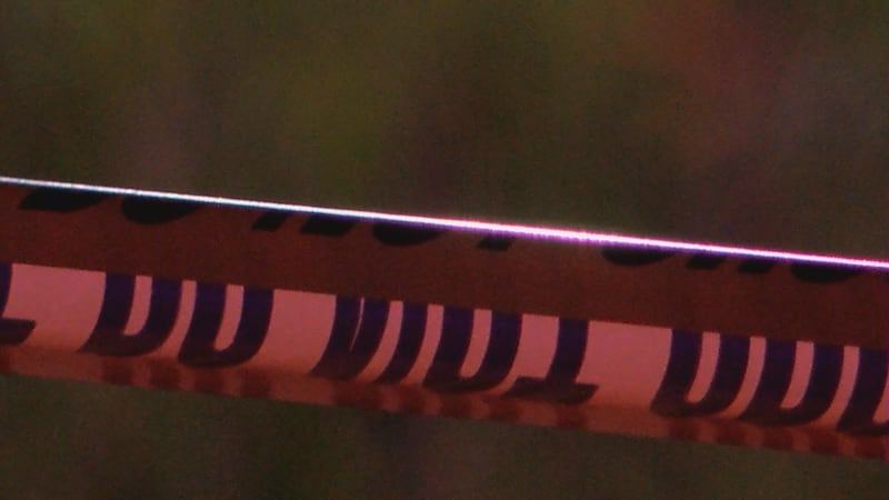 Two people were killed and three others were badly injured in a police chase from New Roads to...
