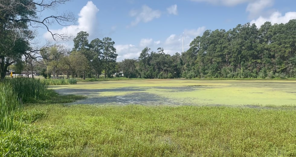 La ciudad de Lufkin tiene años lidiando con problemas de algas en el lago Jones.