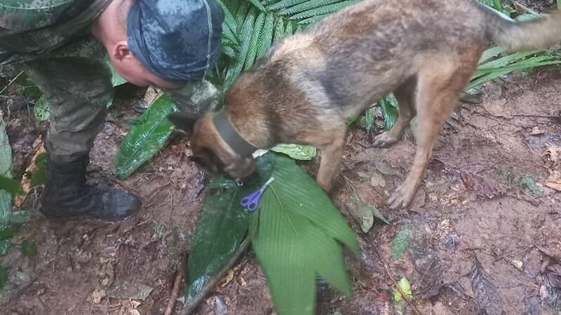 Un rastro de objetos pequeños, como gomas para el cabello, envoltorios de plástico y...
