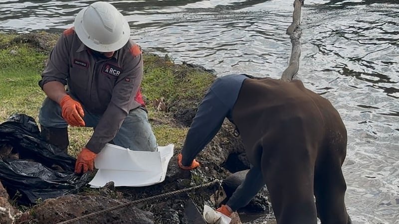 Los equipos están limpiando un vertido de petróleo en el embalse de Ellison Creek tras un...