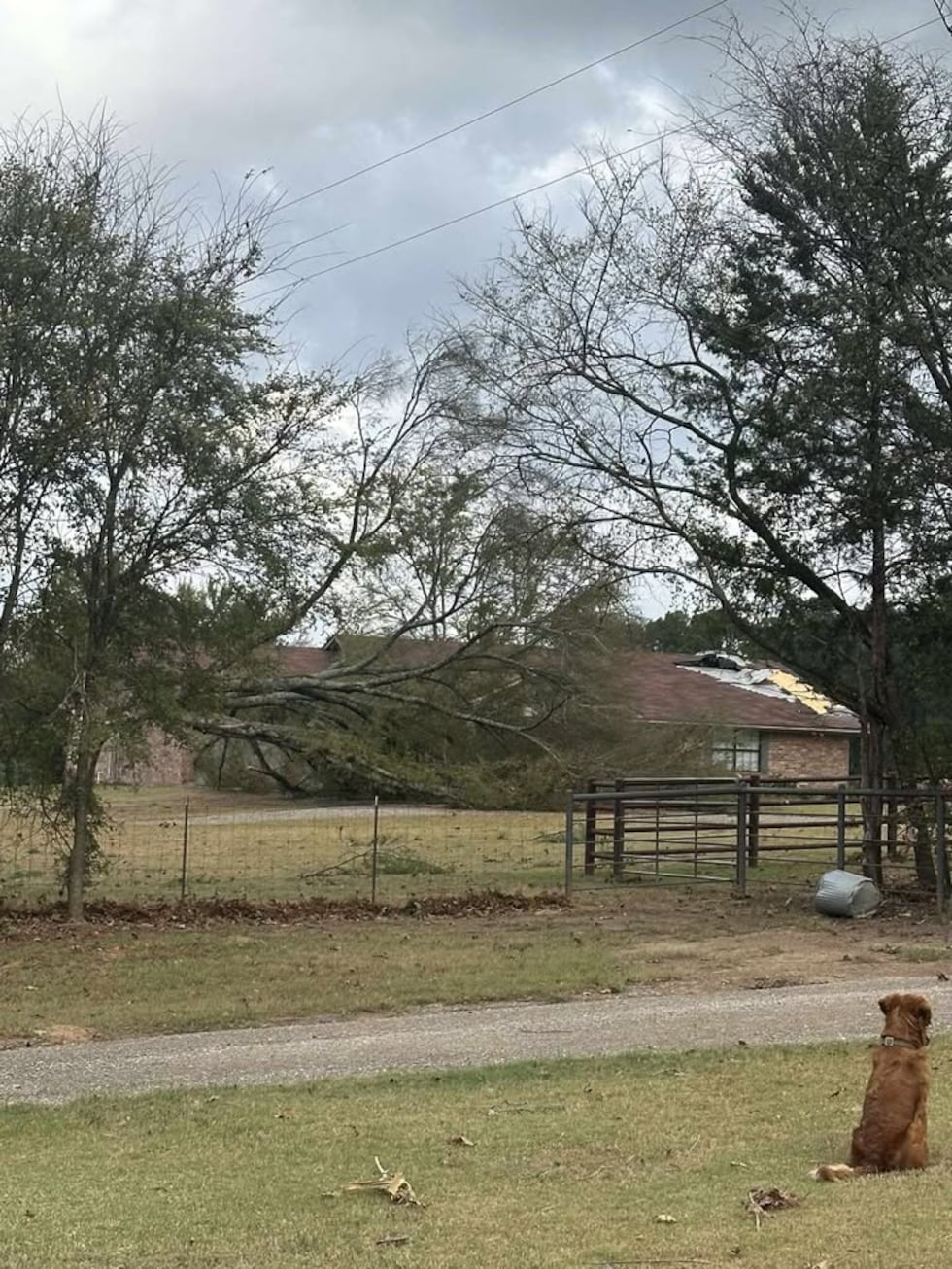 Ashley Turner shared photos of storm damage on County Road 4106.