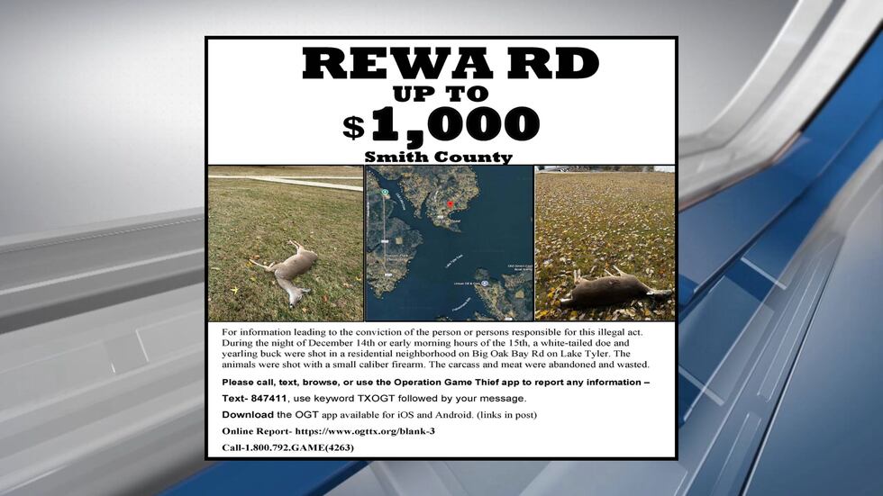 Texas Parks & Wildlife offers $1k reward following illegal deer shootings near Lake Tyler
