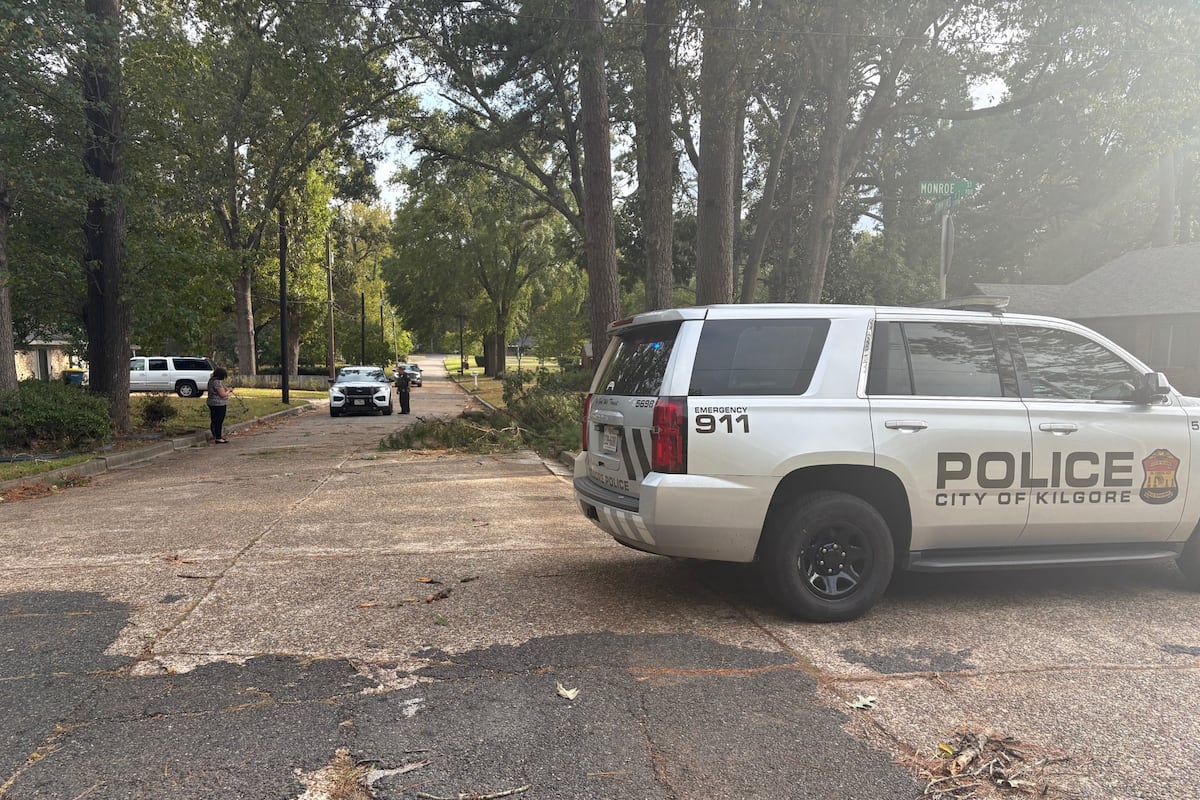 preloaded gallery image