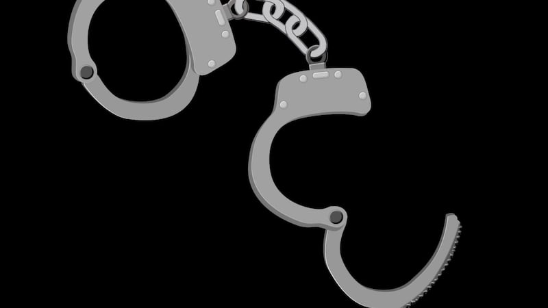 The Kentucky State Police Electronic Crime Branch arrested Joshua Lewis and Dawn Lewis on...