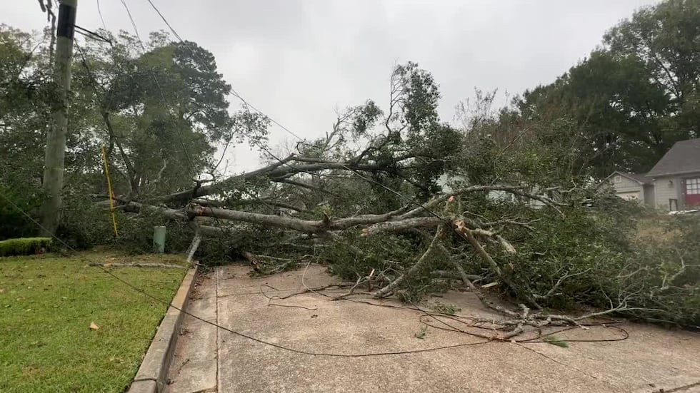 Shortly after 3:30 strong winds blew through Kilgore knocking down several trees.