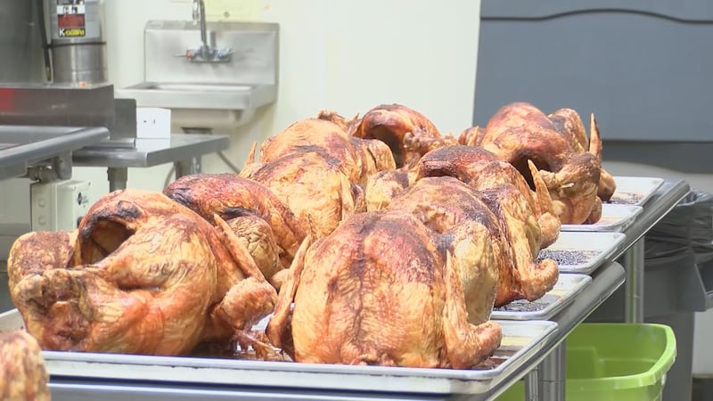 Evita estos alimentos de Acción de Gracias para mascotas, según un veterinario