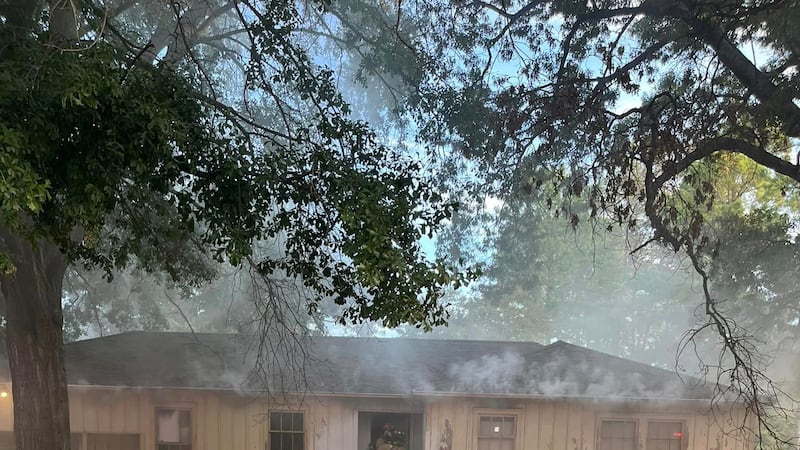 El fuego fue contenido en un área.