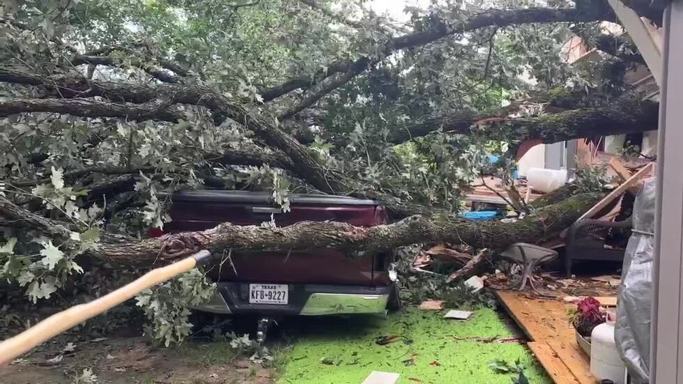 A fallen tree tore through the mobile home and also crushed a pickup parked outside.