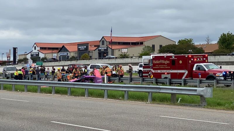 The small plane, which appears to be an ultralight, came to rest in the highway median at...