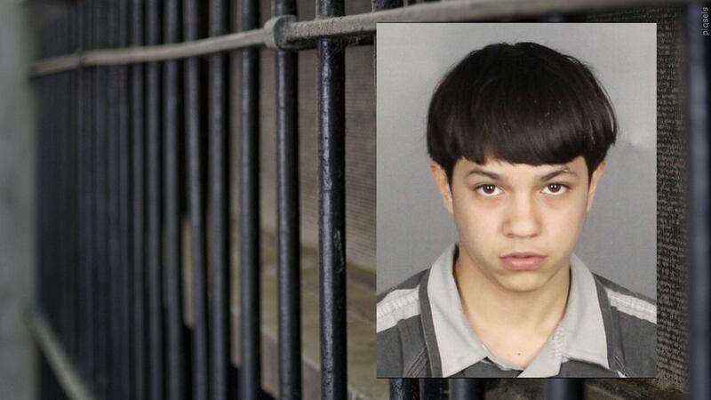 Pablo Joaquín Villarreal, de 19 años, se declaró culpable de asesinato y dos cargos de robo...