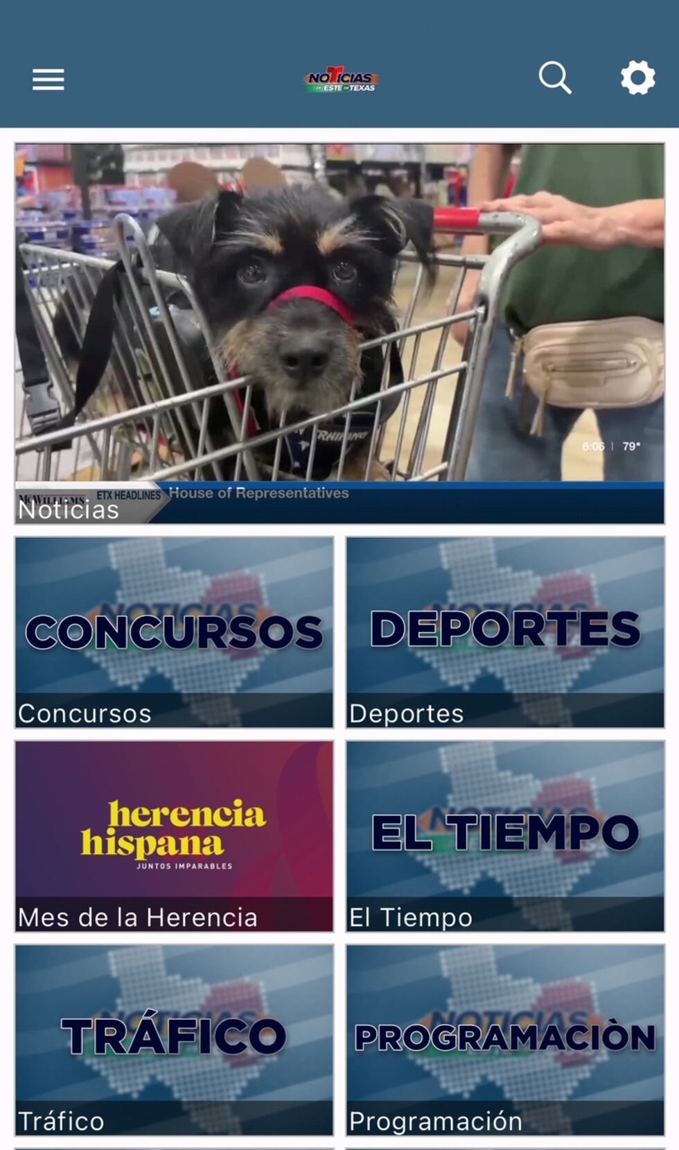 2. Accede a la sección de concursos en nuestra página de inicio.