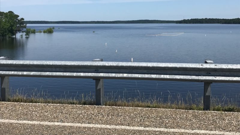 All the recent rain has to go somewhere, and there’s a whole lot of it at Lake O’ the Pines. ...