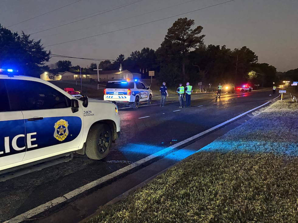 A pedestrian was hit by a pickup on Van Highway.
