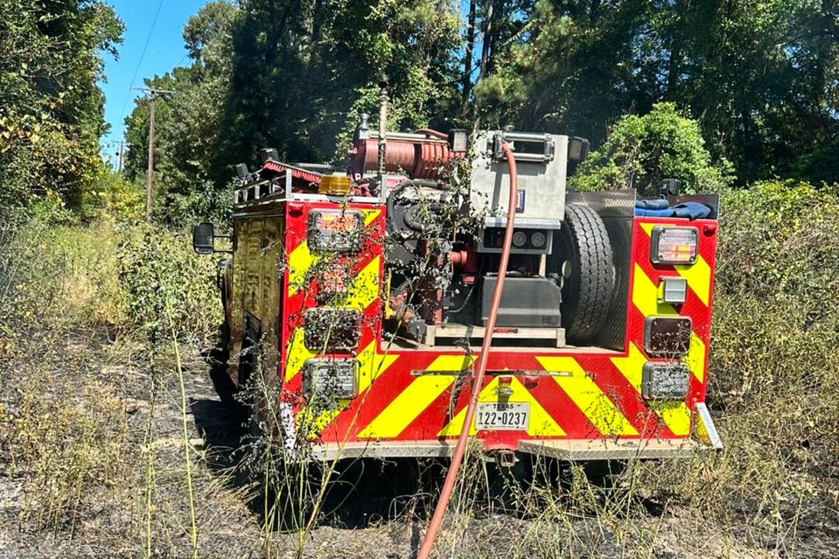 preloaded gallery image