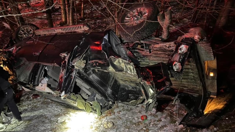 Las autoridades dijeron que un pastor alemán llevó a la policía a la escena de un accidente...