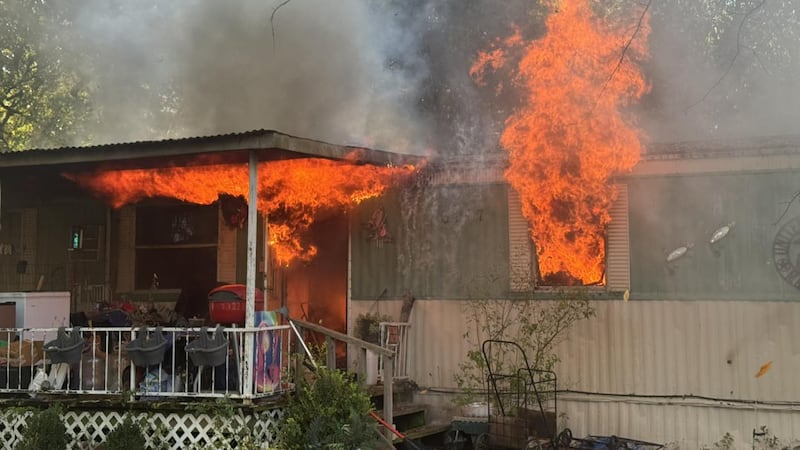 4 perros muertos en un incendio en Payne Springs.
