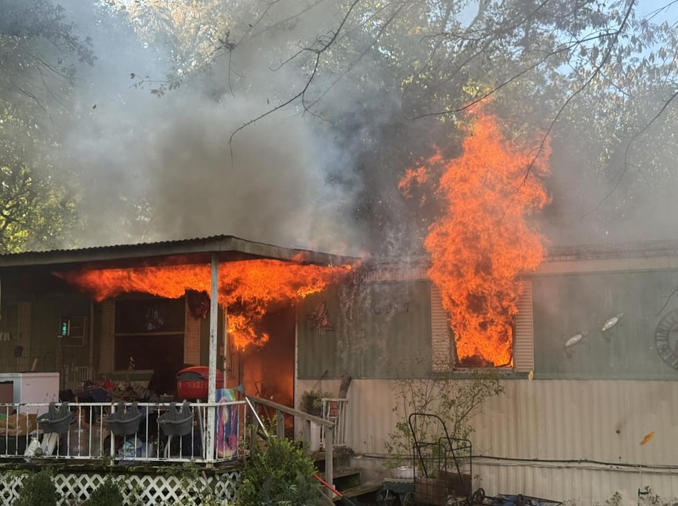 4 dogs killed in Payne Springs fire