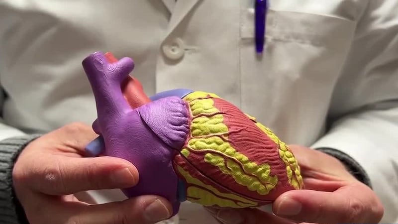 Cardiólogos del este de Texas afirman que las enfermedades cardíacas “no discriminan”