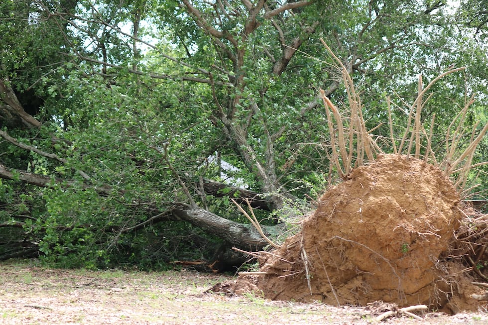 Viewers in Wood County are submitting photos of damage caused by a severe thunderstorm that...