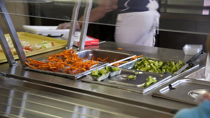 Niños encontraron gusanos en sus almuerzos escolares