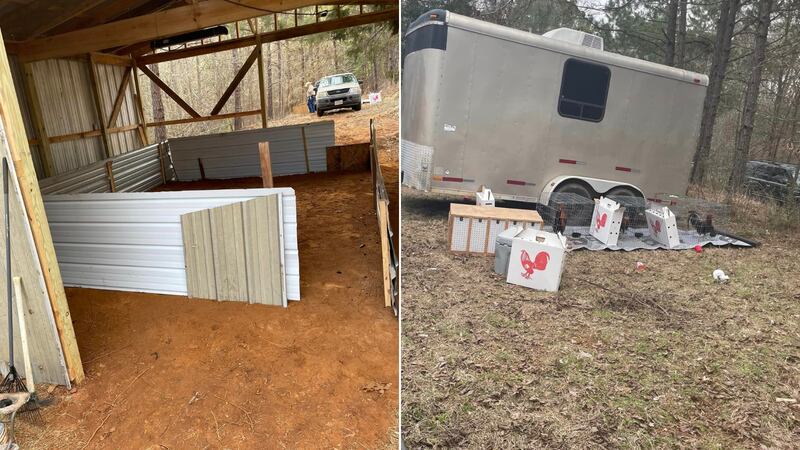 La Oficina del Sheriff del Condado de Cherokee, en el este de Texas, recibió información el 19...