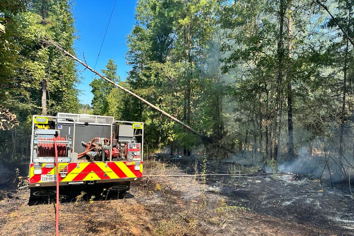 preloaded gallery image